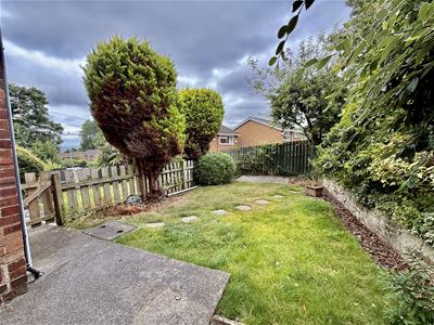 Picture 22